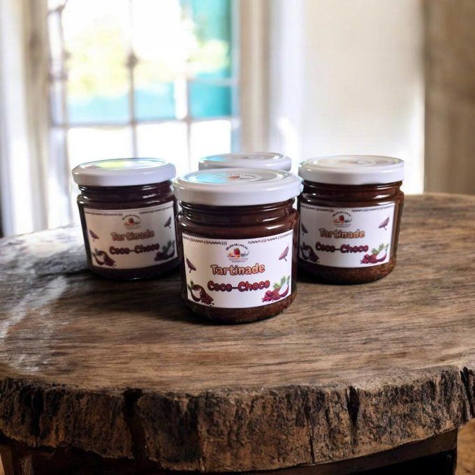Tartinade chocolat coco