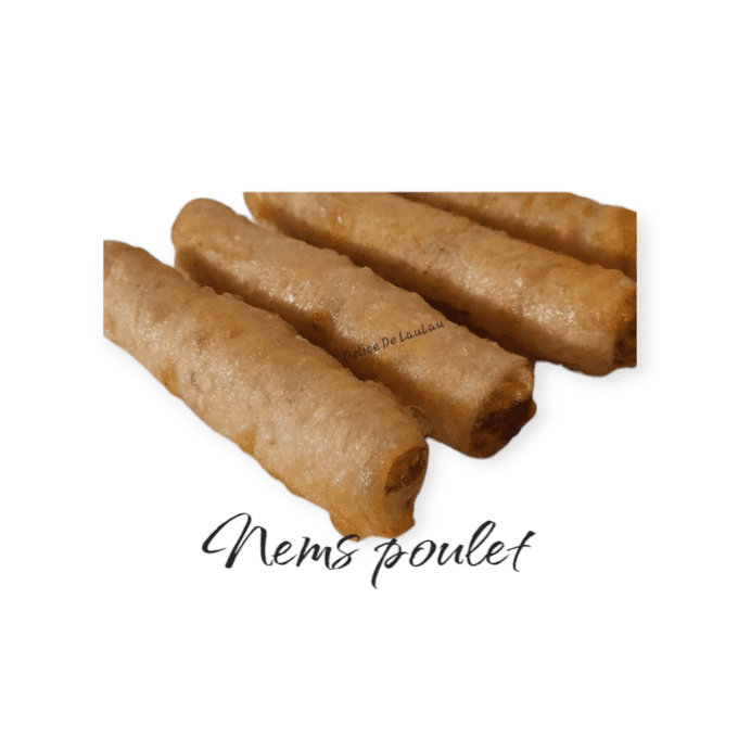 NEMS LONG PAYS PORC OU POULET 